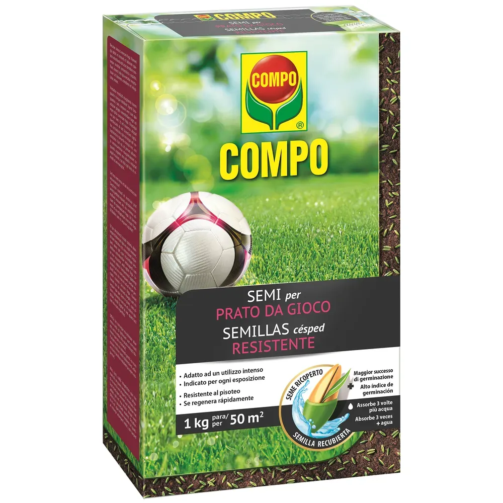 Inicio 6 COMP0070 00 1